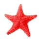 Морская звезда картинки, стоковые фото Морская звезда | Depositphotos